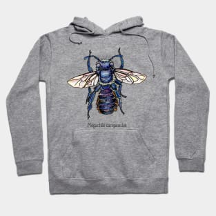 Bellflower Resin Bee Hoodie